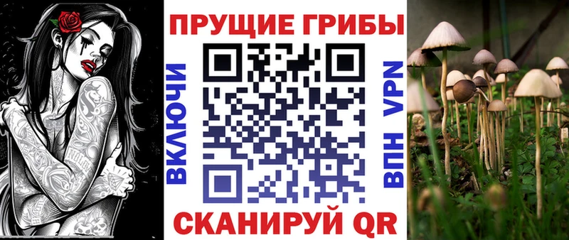 Псилоцибиновые грибы Cubensis  Приволжск 